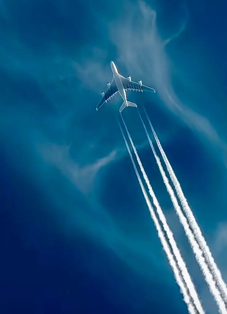 Piex Cargas: Aéreo Urgente
