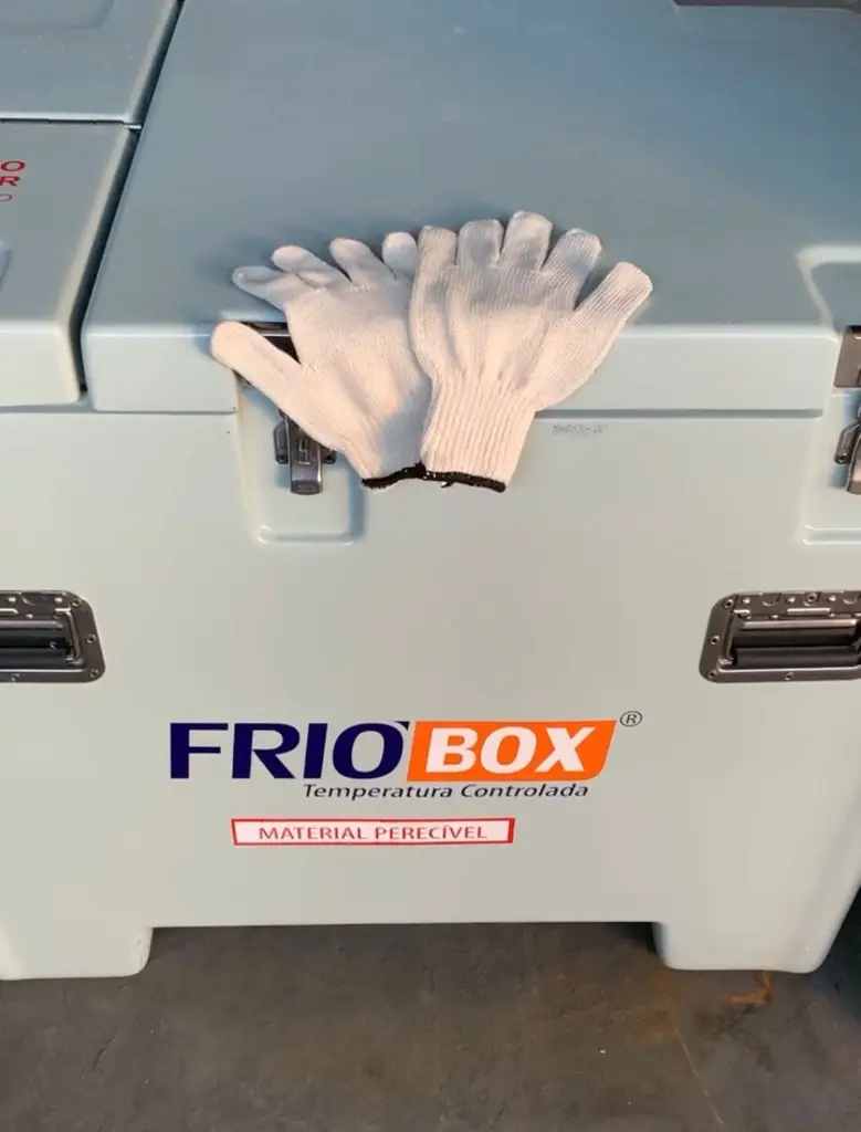 Piex Cargas: Transporte Refrigerado